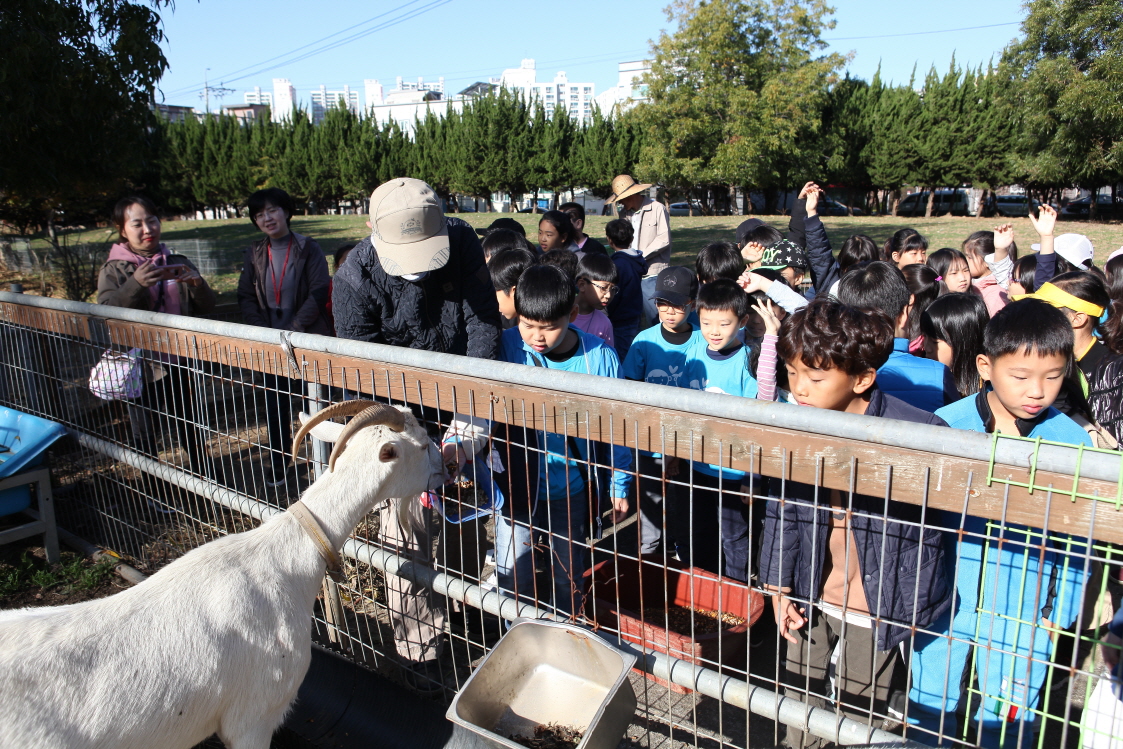 교내실습장 동물자원