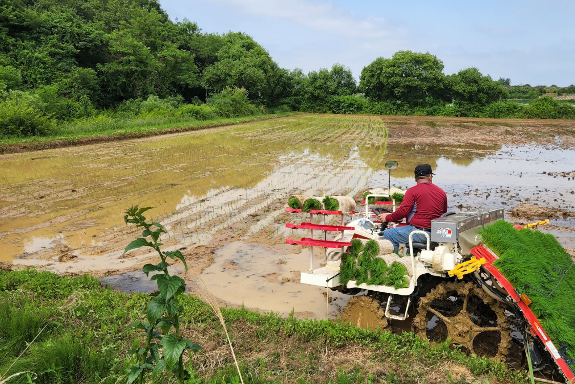 나주실습장 식물자원