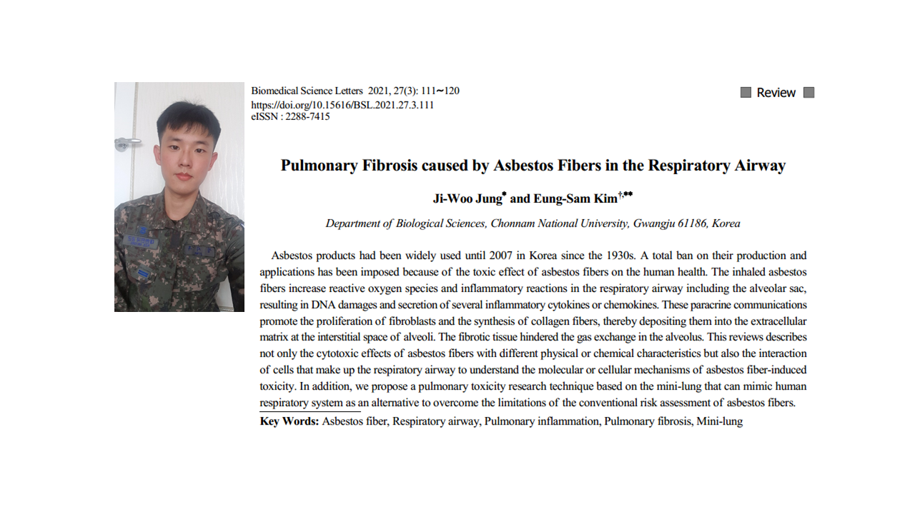 정지우 - Pulmonary Fibrosis caused by Asbestos Fibers in the Respiratory Airway 첨부 이미지
